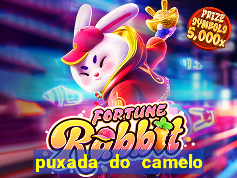 puxada do camelo jogo do bicho